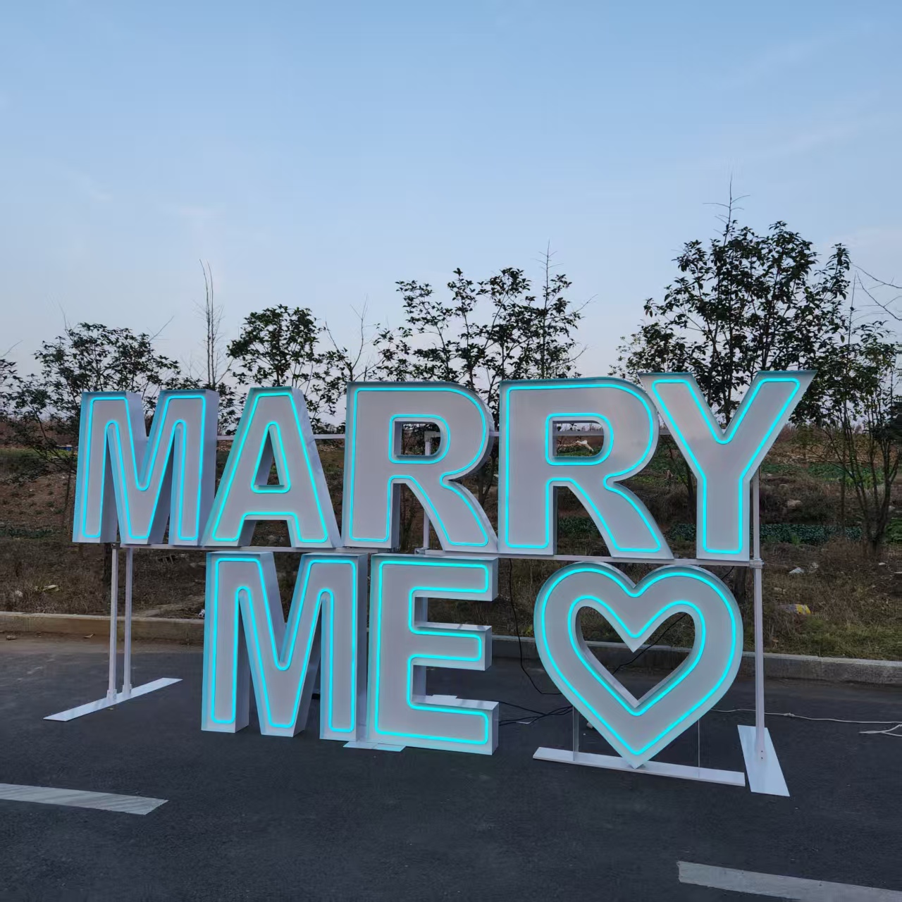 MARRY ME Metal RGB LED Neon Si - đánh giá và giá Wedding Supply Rentals