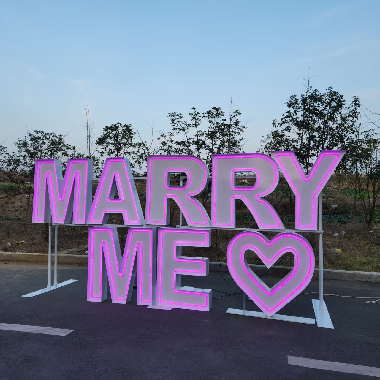 MARRY ME Metal RGB LED Neon Si - đánh giá và giá Wedding Supply Rentals